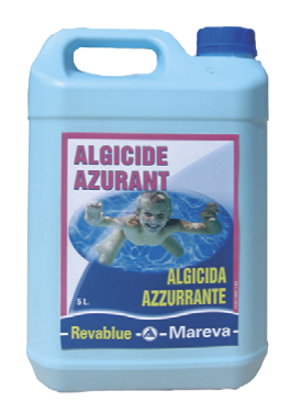 Mareva Algizid Mareva Algizid