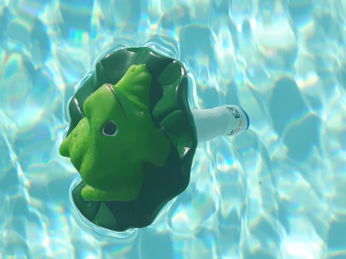 Poolthermometer Frosch